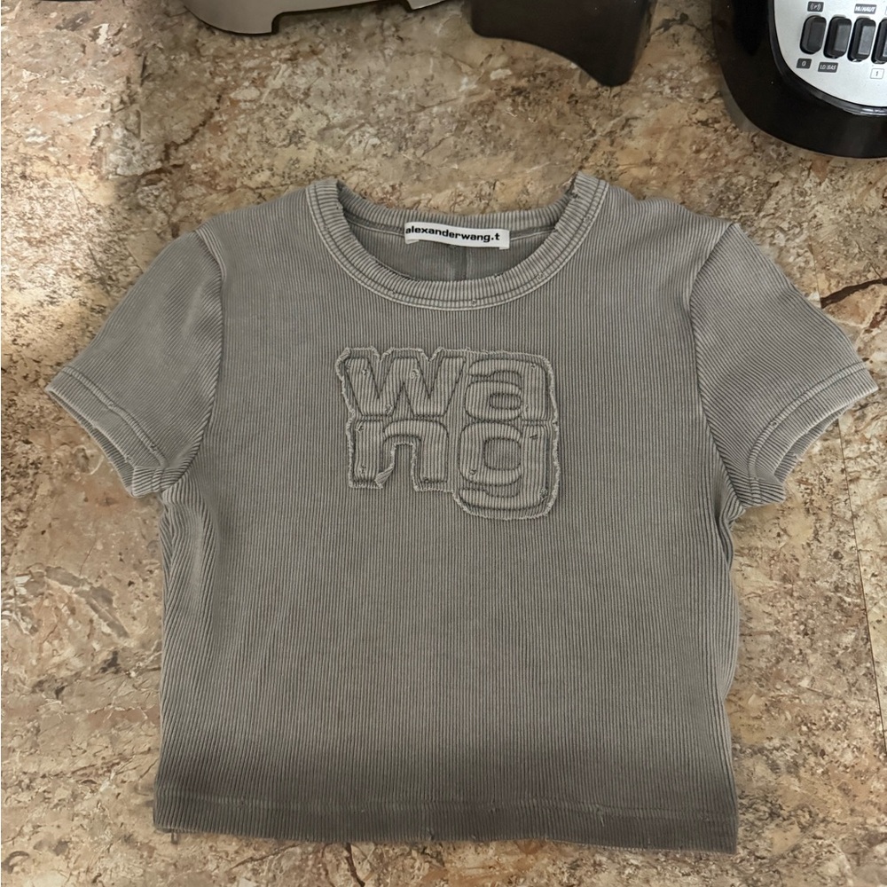 Alexander Wang Gray Short Sleeve Tee Minimalist Design